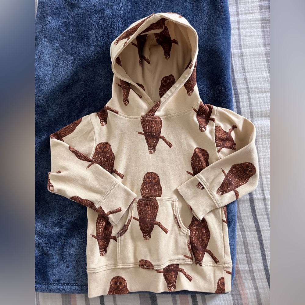 Toddler Kate Quinn pullover hoodie